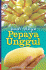 Budi Daya Pepaya Unggul